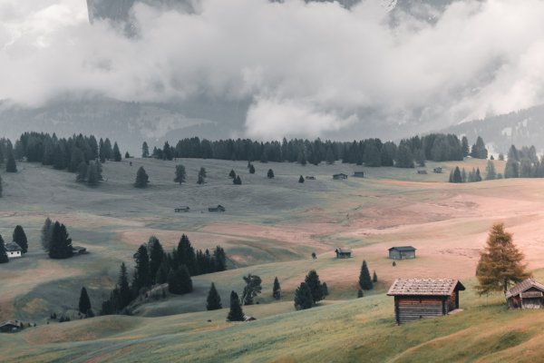 Prairies suspendues
