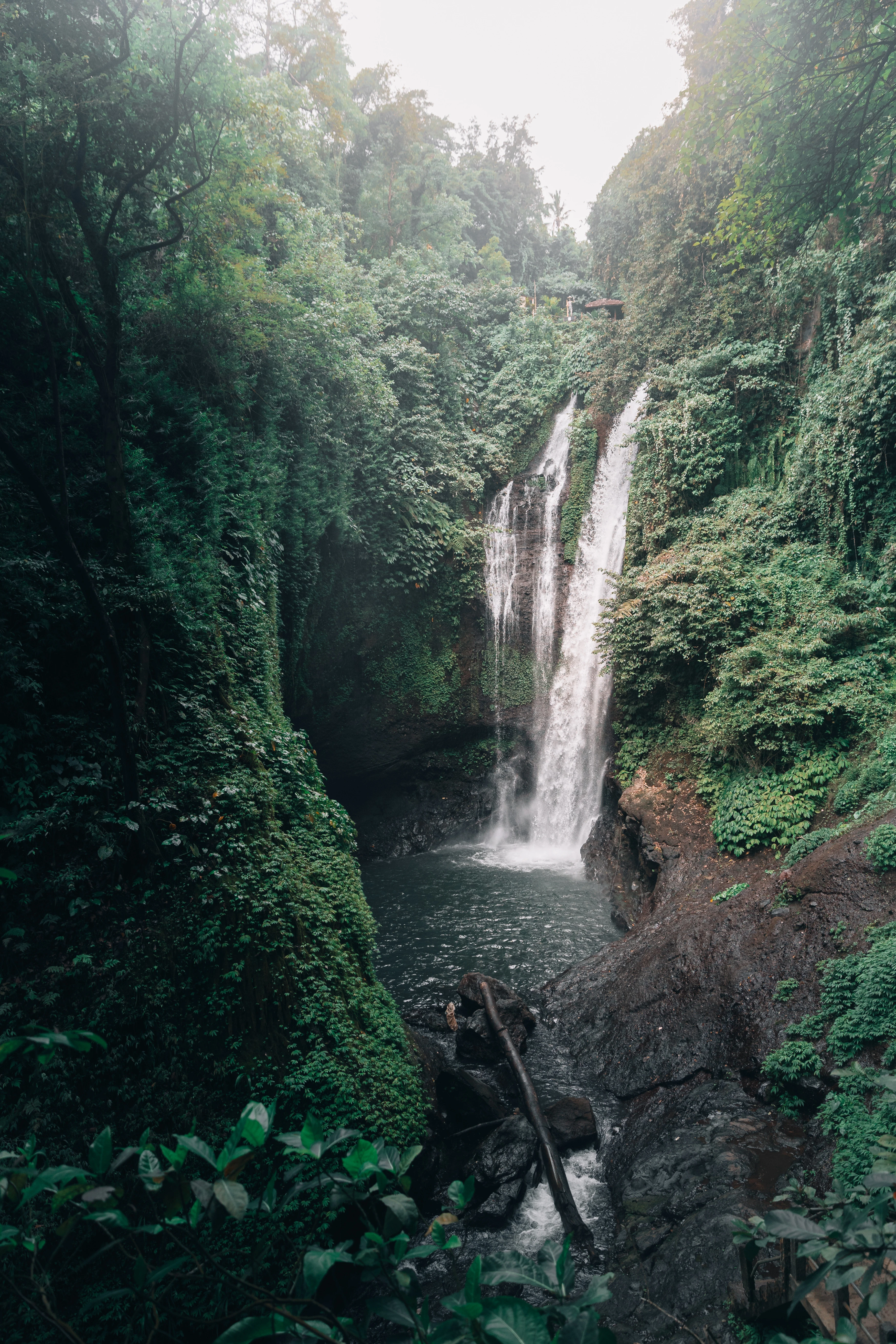 Indonésie — photographie 3