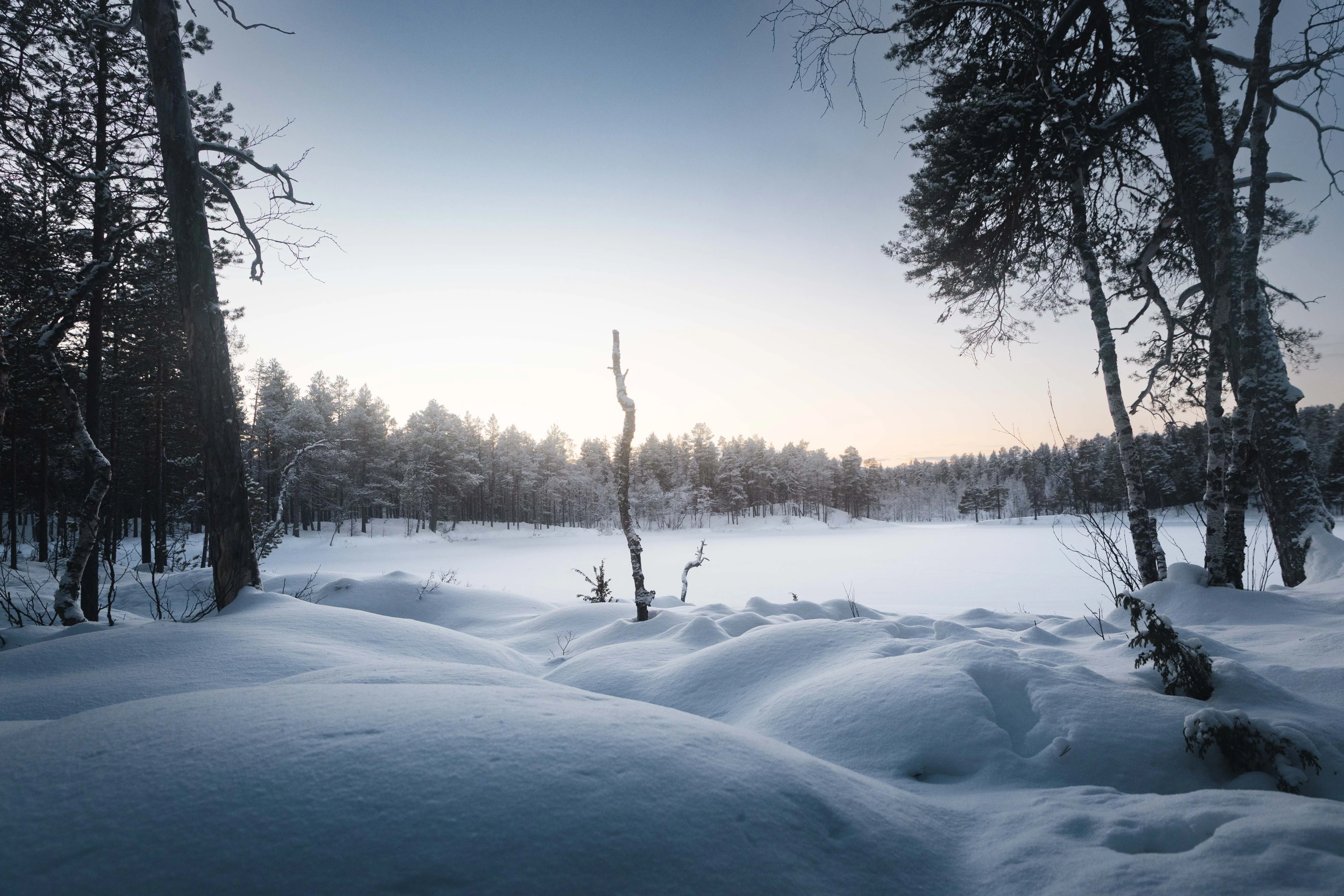 Laponie — photographie 7