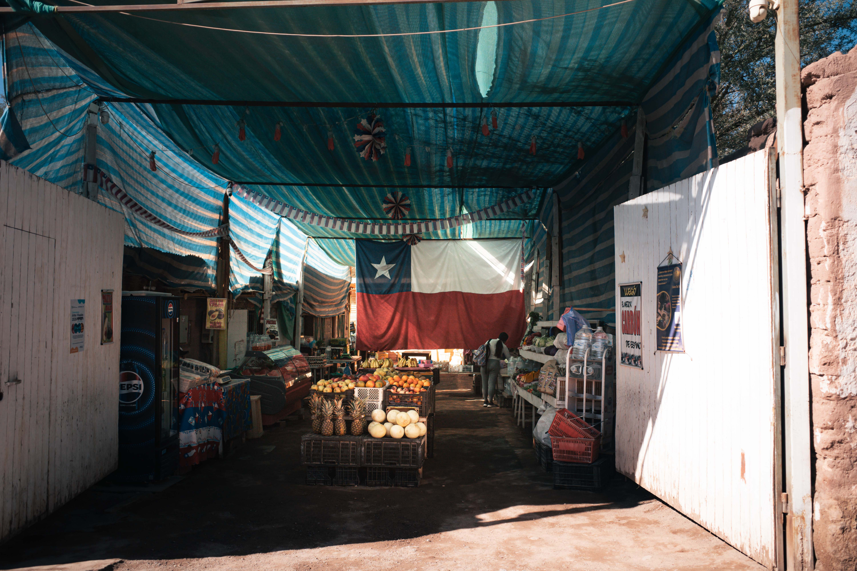 Sous le drapeau