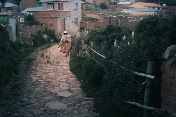 Le chemin du soir