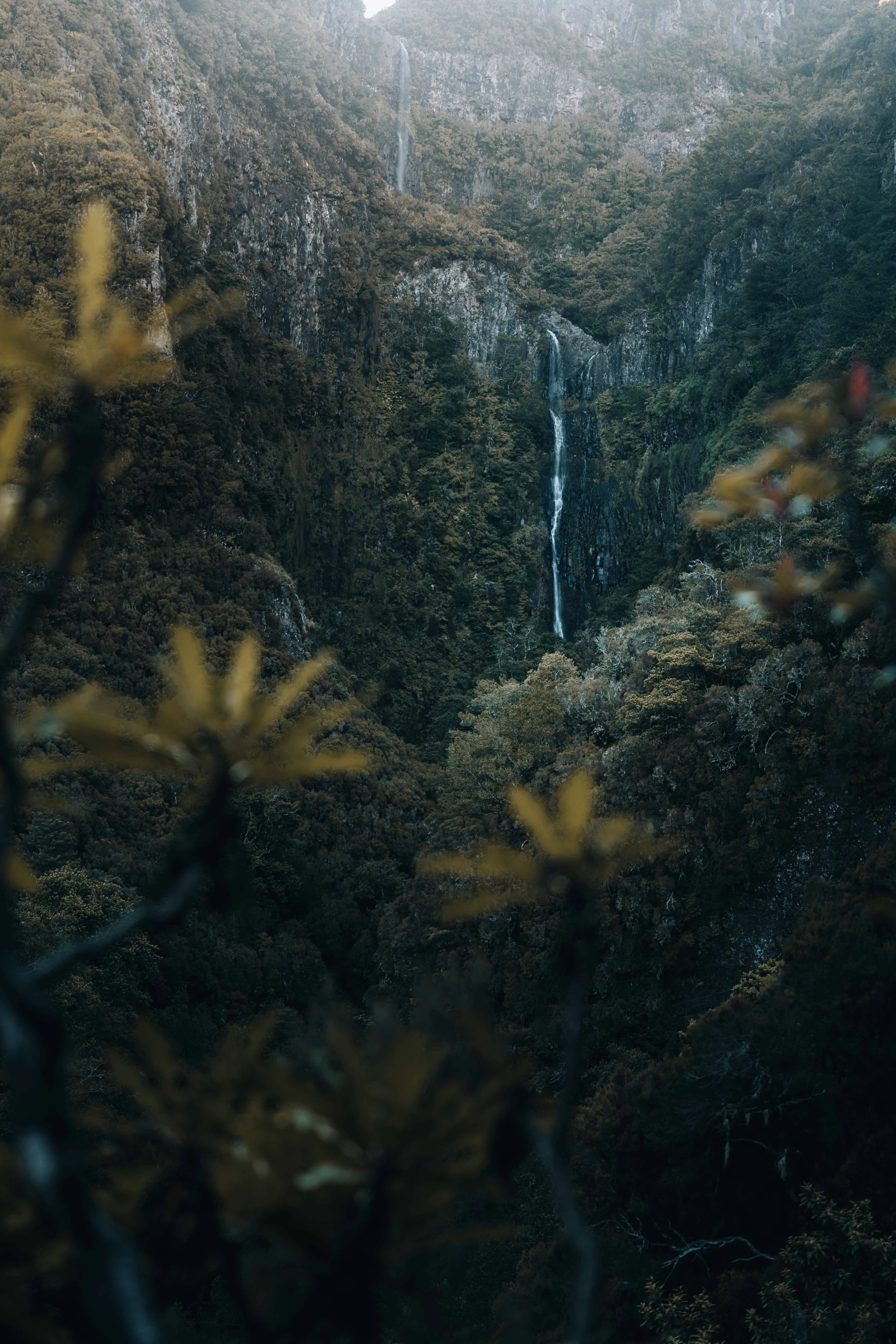 Madère — photographie 6